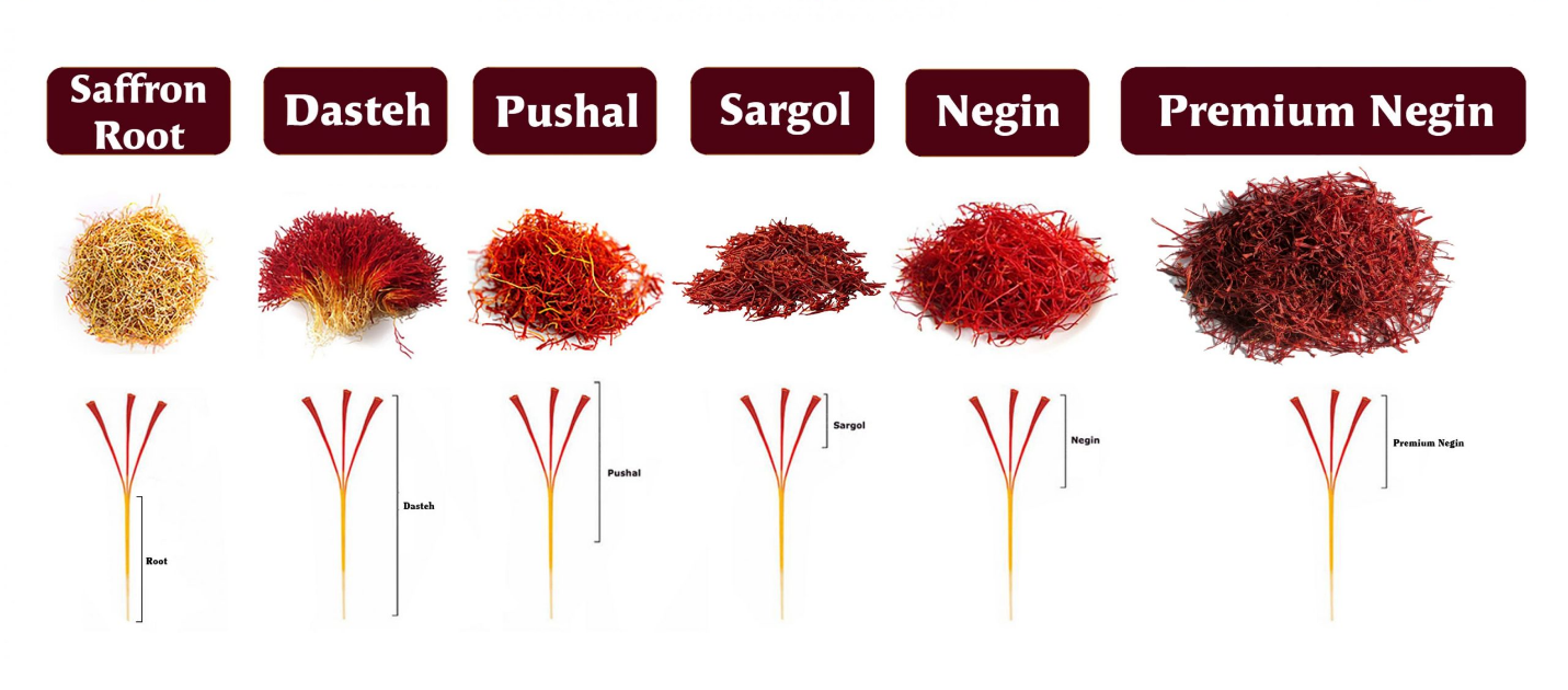 phân loại saffron